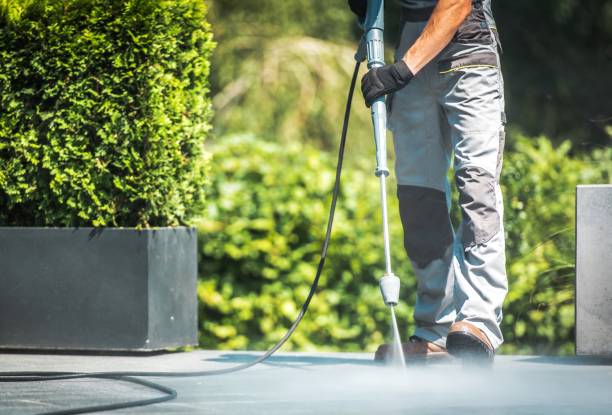 Best Warehouse Cleaning  in New Port Richey East, FL