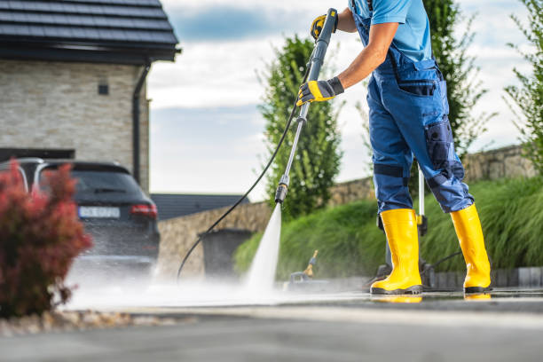 Best Soft Washing  in New Port Richey East, FL