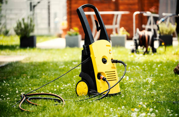 Animal Enclosure Cleaning in New Port Richey East, FL